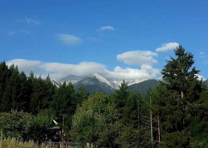 Saint George Palace 4* 班斯科